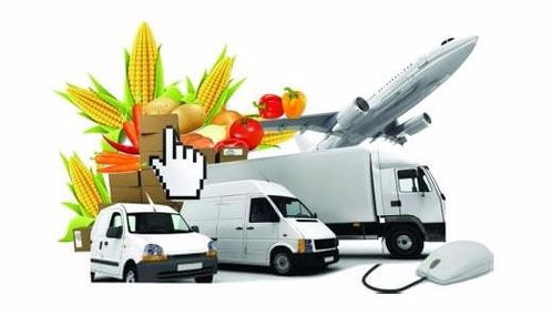 专业进出口国际物流与跨境运输 深圳物流公司的物联网技术服务革新